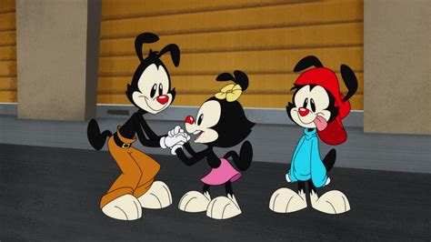 megashare animaniacs|Animaniacs .